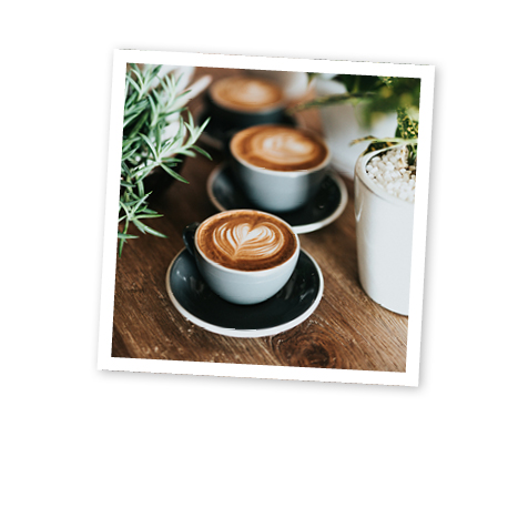PAR025 007 Fruehling Landingpage RZ Sujet