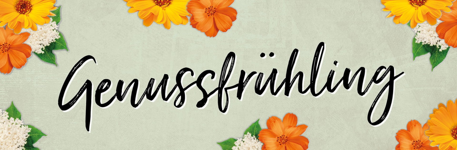 Einkaufszentrum am Rochusmarkt | The Mall